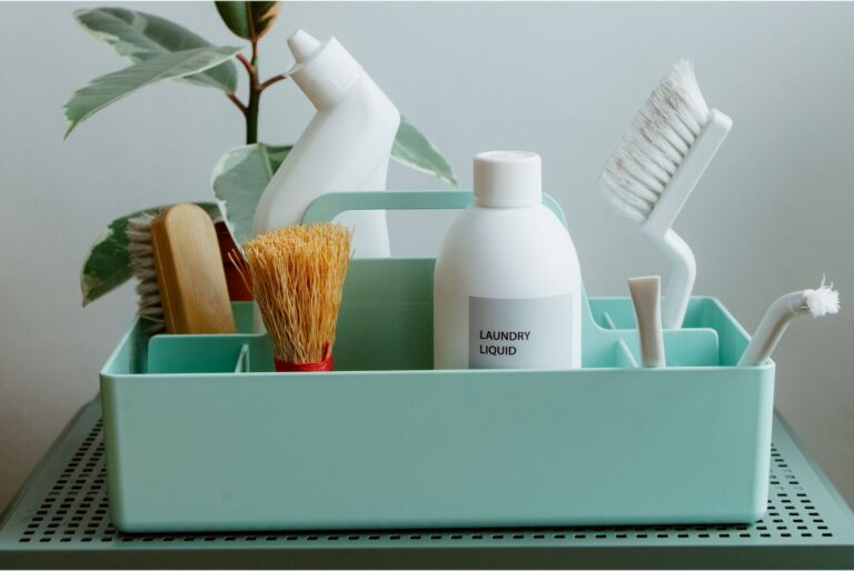 website fruehjahrsputz